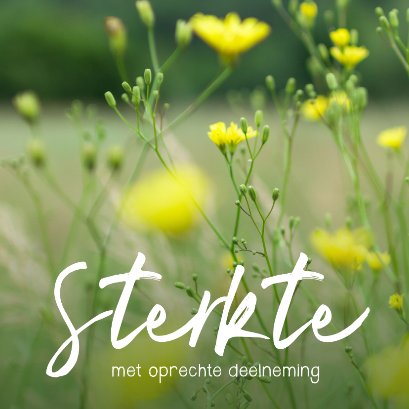Condoleance - gele bloemen sterkte - Condoleancekaarten Condoleancekaarten - Condoleance - gele bloemen sterkte