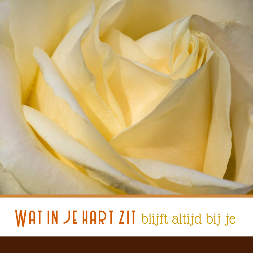 Condoleance gele roos - Condoleancekaarten Condoleancekaarten - Condoleance gele roos
