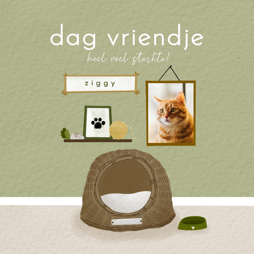 Condoleance huisdier kat dag vriendje mandje foto - Condoleancekaarten Condoleancekaarten - Condoleance huisdier kat dag vriendje mandje foto