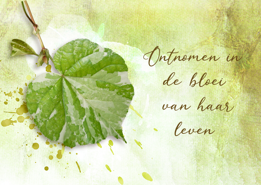 Condoleancekaarten - Condoleance kaart fris groen blad