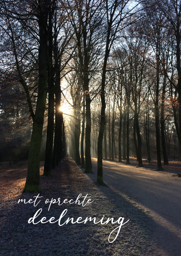 Condoleancekaarten - Condoleance kaart met natuurfoto van herfstbos