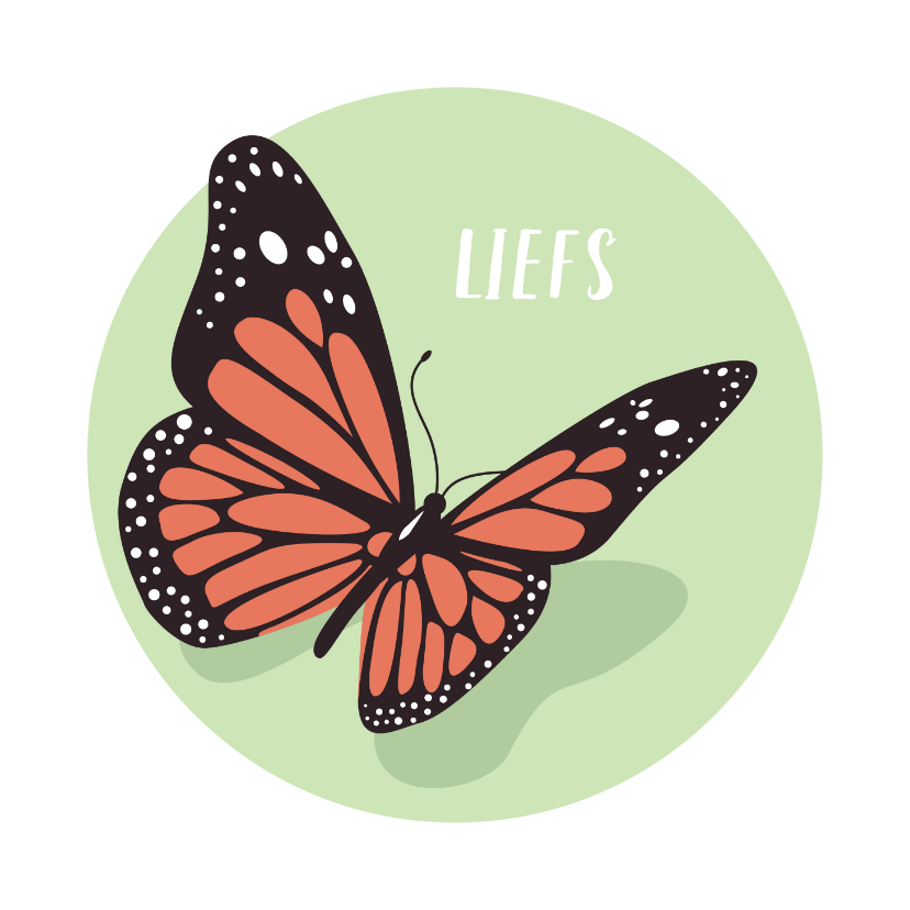 Condoleancekaarten - Condoleance kaartje met sierlijke mooie vlinder