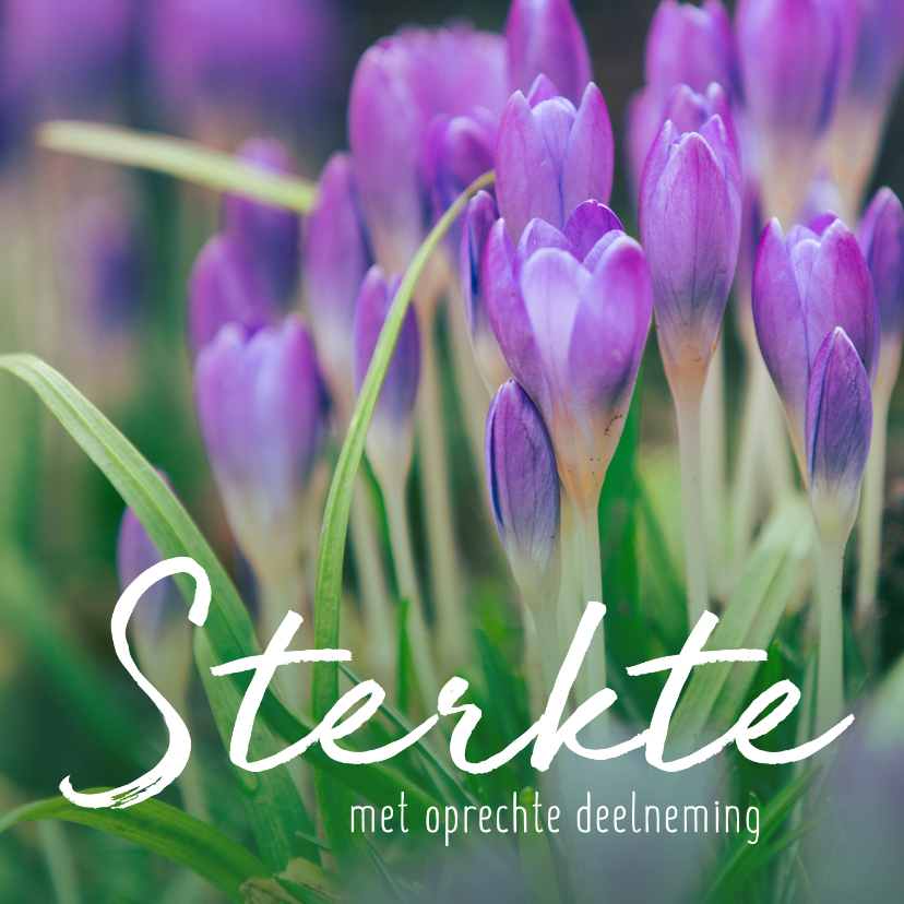 Condoleancekaarten - Condoleance - krokus veel sterkte