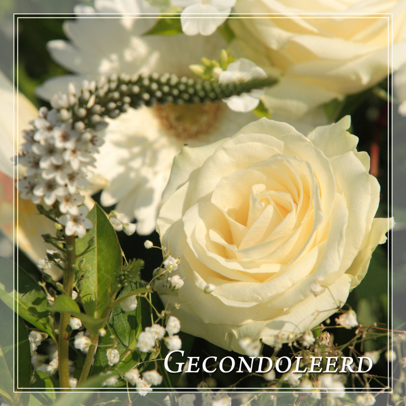 Condoleance LIV - Condoleancekaarten Condoleancekaarten - Condoleance LIV