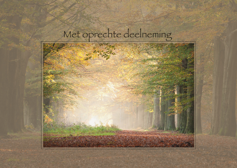 Condoleance met herfstbos - Condoleancekaarten Condoleancekaarten - Condoleance met herfstbos