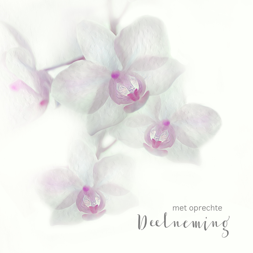 Condoleancekaarten - Condoleance met orchidee-paars-