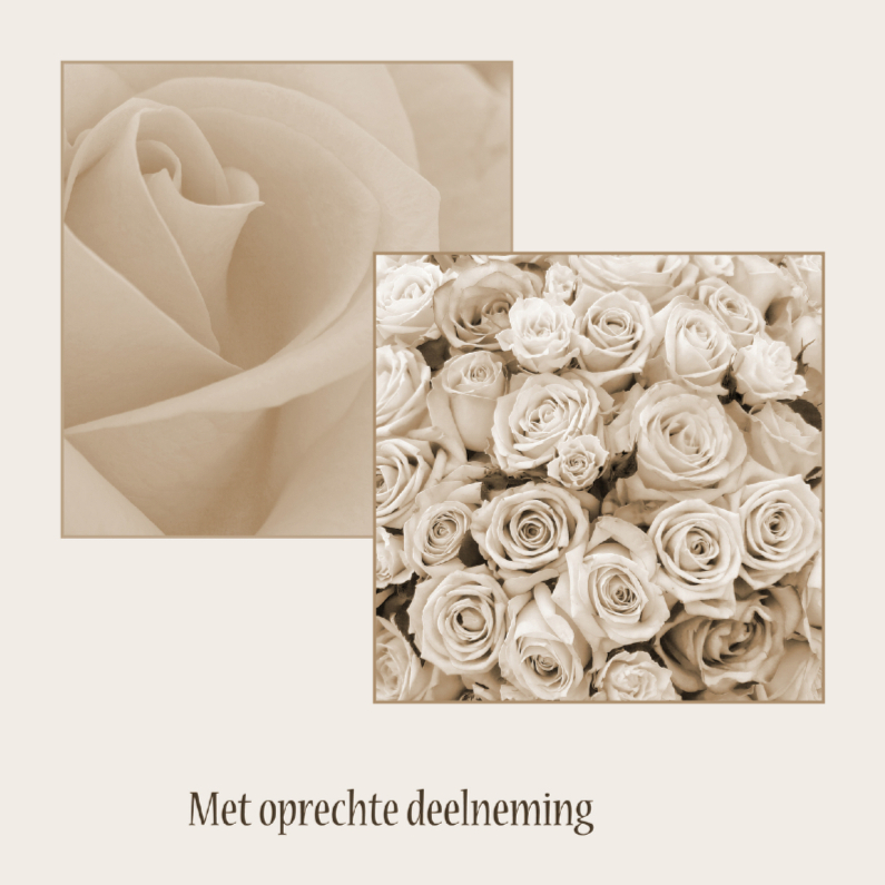 Condoleance met rozen in kaders - Condoleancekaarten Condoleancekaarten - Condoleance met rozen in kaders
