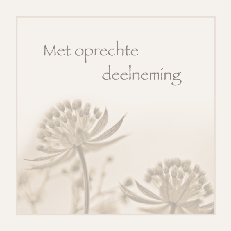 Condoleance met Zeeuws knoopje - Condoleancekaarten Condoleancekaarten - Condoleance met Zeeuws knoopje