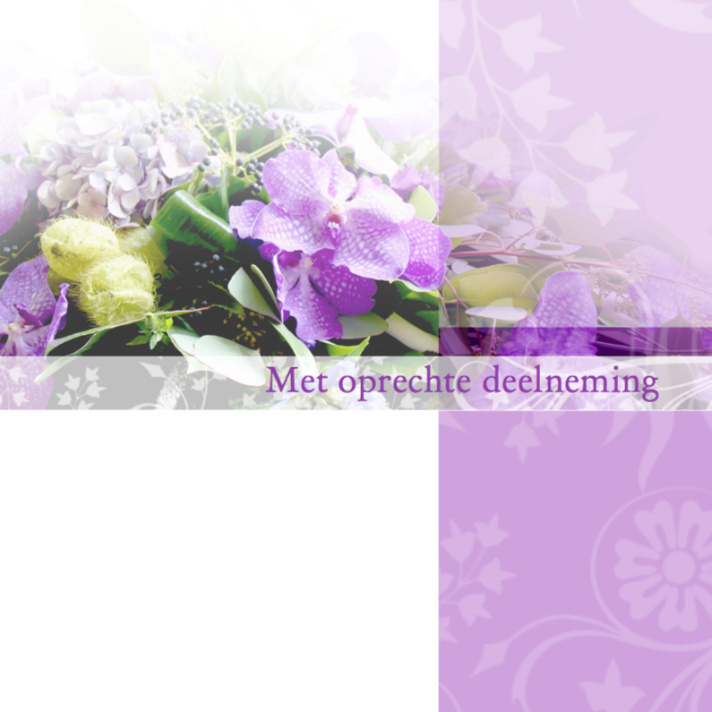 condoleance orchidee - Condoleancekaarten Condoleancekaarten - condoleance orchidee
