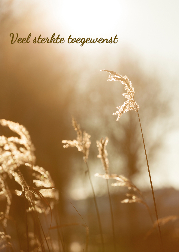 Condoleance riet MM - Condoleancekaarten Condoleancekaarten - Condoleance riet MM