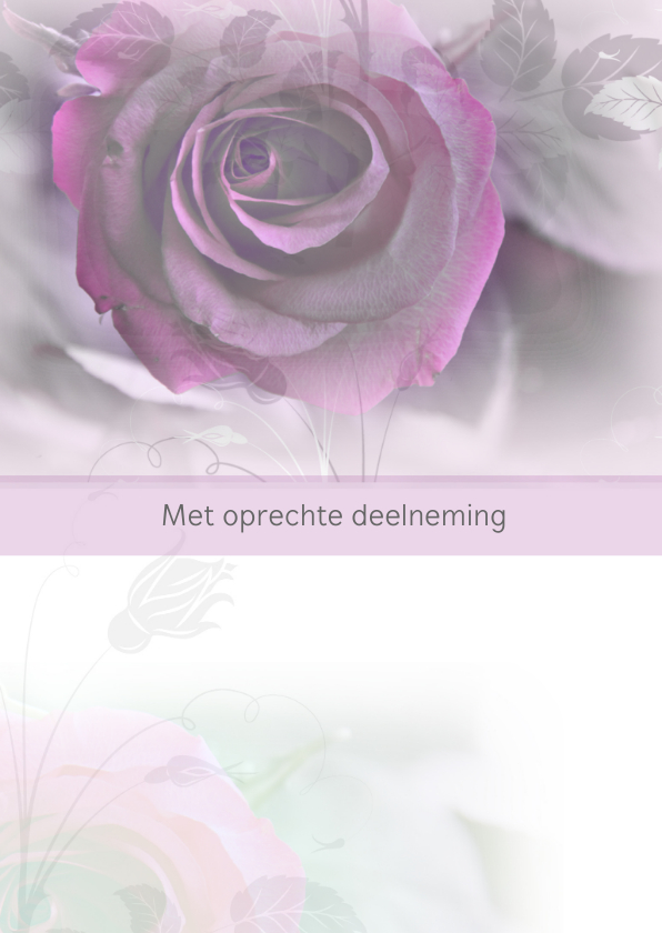Condoleancekaarten - Condoleance roos paars