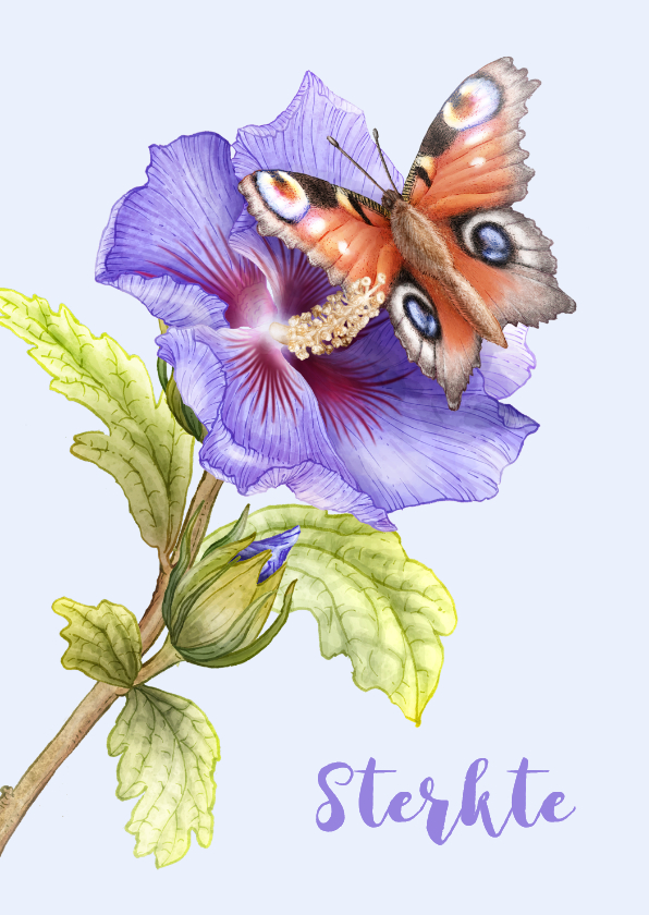 Condoleance sterkte kaart vlinder op een blauwe hibiscus - Condoleancekaarten Condoleancekaarten - Condoleance sterkte kaart vlinder op een blauwe hibiscus