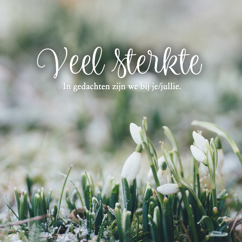 Condoleancekaarten - Condoleance - veel sterkte met sneeuwklokje 