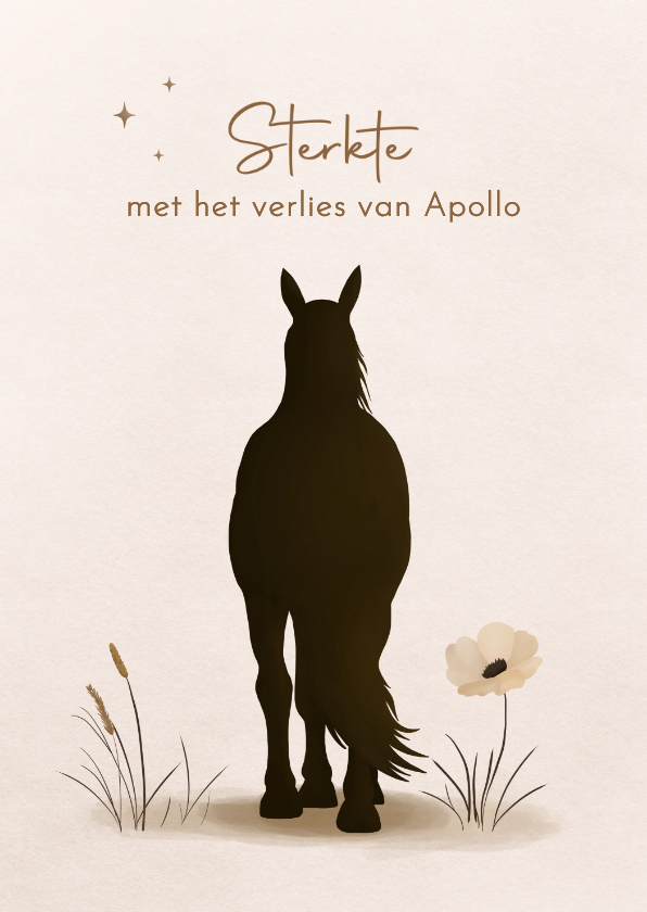 Condoleancekaarten - Condoleancekaart bij het verlies van een paard of pony