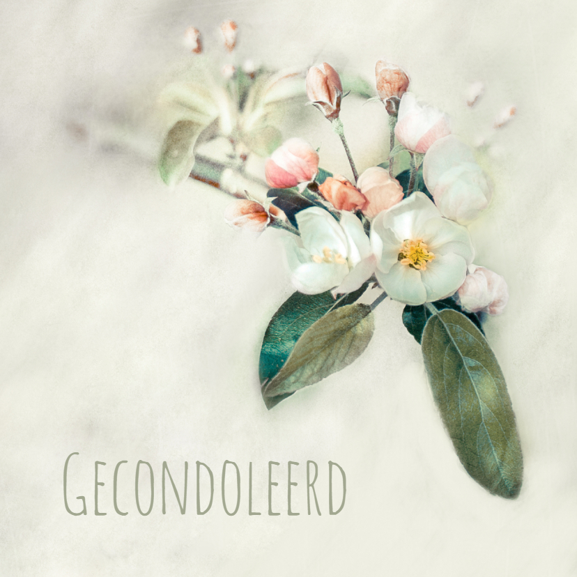 Condoleancekaart Bloesem - A - Condoleancekaarten Condoleancekaarten - Condoleancekaart Bloesem - A