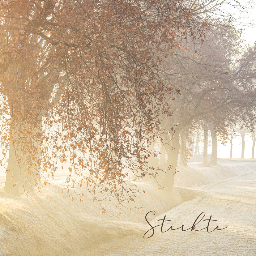 Condoleancekaarten - Condoleancekaart bomen in de mist