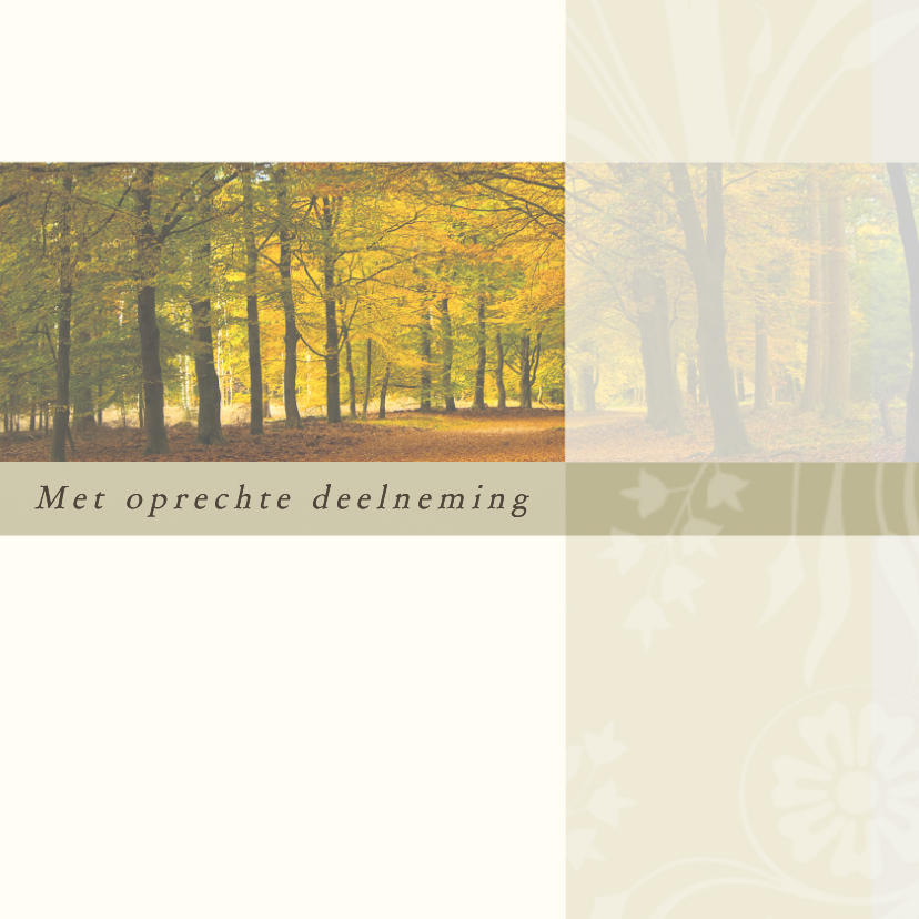 Condoleancekaarten - Condoleancekaart bos natuur