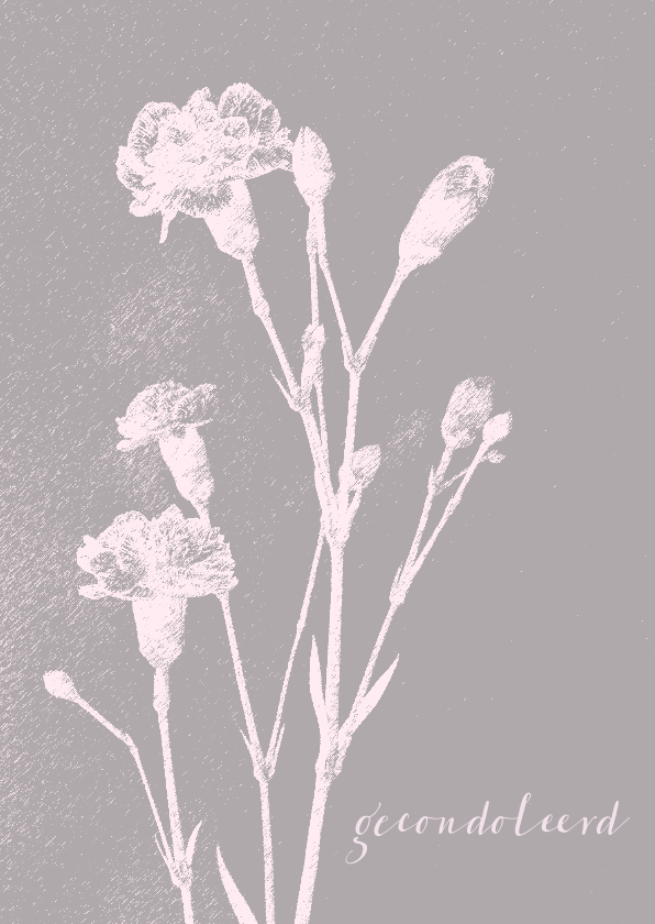 Condoleancekaart dianthus - Condoleancekaarten Condoleancekaarten - Condoleancekaart dianthus