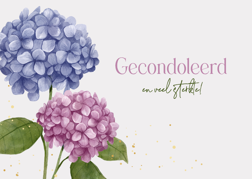 Condoleancekaarten - Condoleancekaart gecondoleerd bloemen hortensia paars