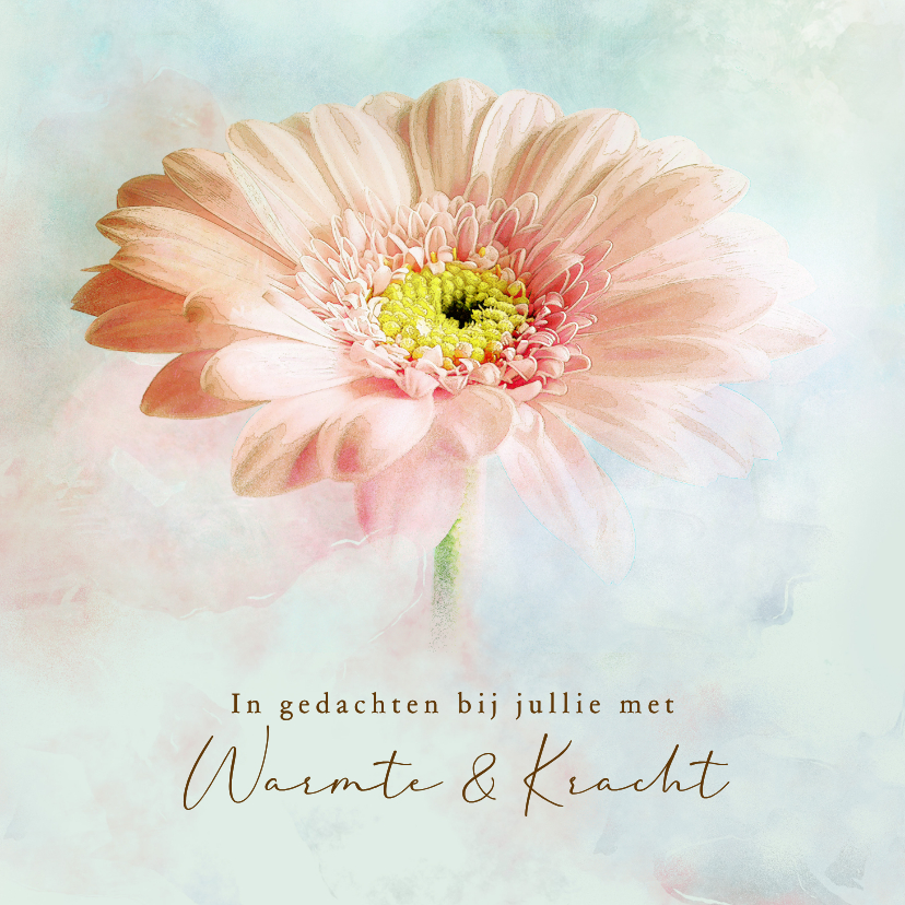 Condoleancekaarten - Condoleancekaart gerbera bloem sfeer pastel