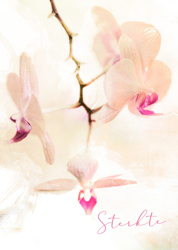 Condoleancekaarten - Condoleancekaart hangende orchidee pastel