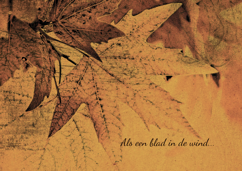 Condoleancekaart herfstbladeren grungy - Condoleancekaarten Condoleancekaarten - Condoleancekaart herfstbladeren grungy