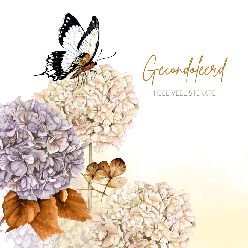 Condoleancekaarten - Condoleancekaart hortensia vlinder
