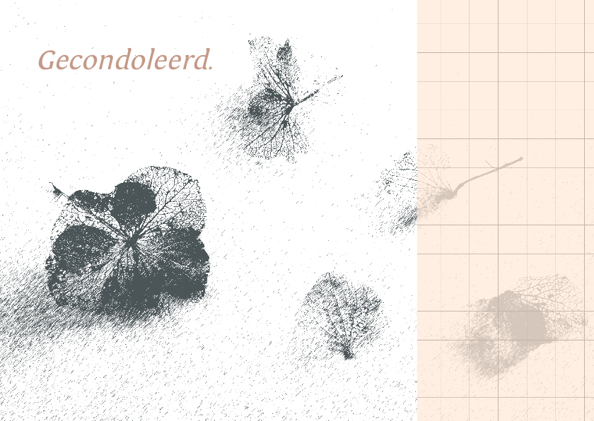 Condoleancekaart hortensia - Condoleancekaarten Condoleancekaarten - Condoleancekaart hortensia