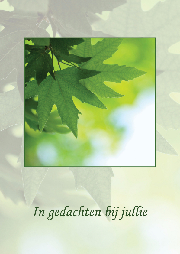 Condoleancekaart In gedachten bij jullie - Condoleancekaarten Condoleancekaarten - Condoleancekaart In gedachten bij jullie