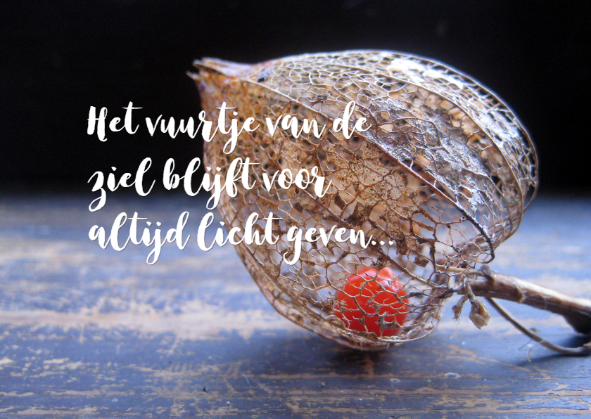 Condoleancekaart - Lichaam en ziel-lampionnetje - Condoleancekaarten Condoleancekaarten - Condoleancekaart - Lichaam en ziel-lampionnetje
