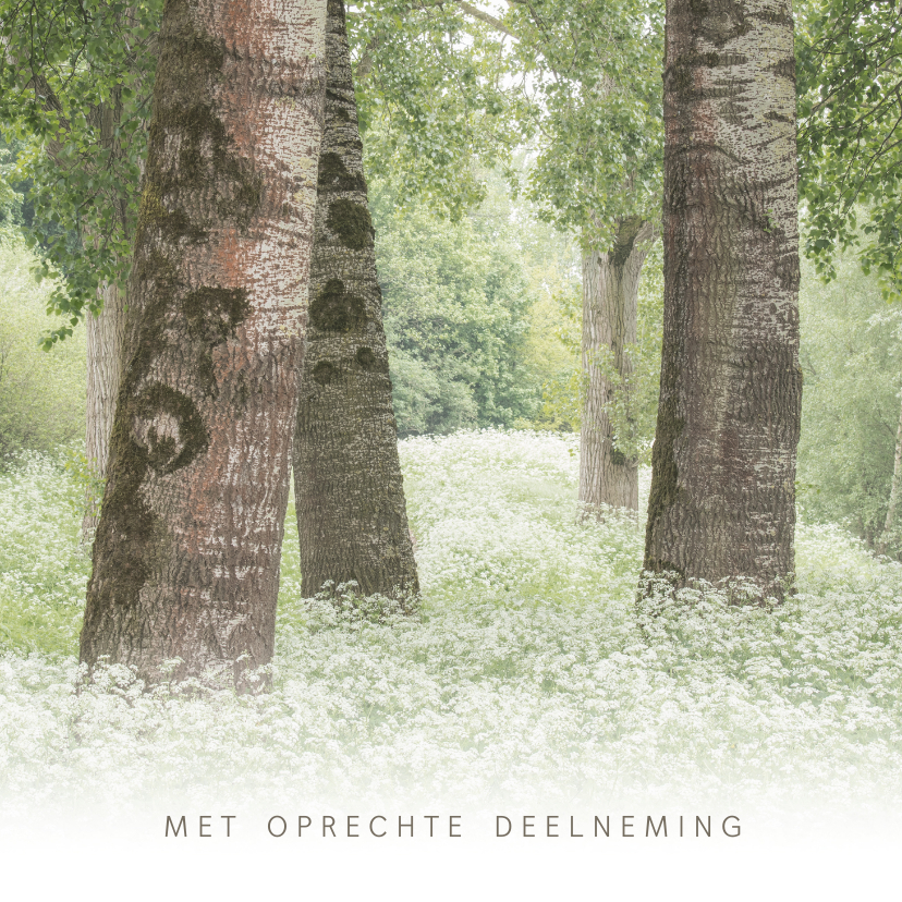 Condoleancekaarten - Condoleancekaart met bomen