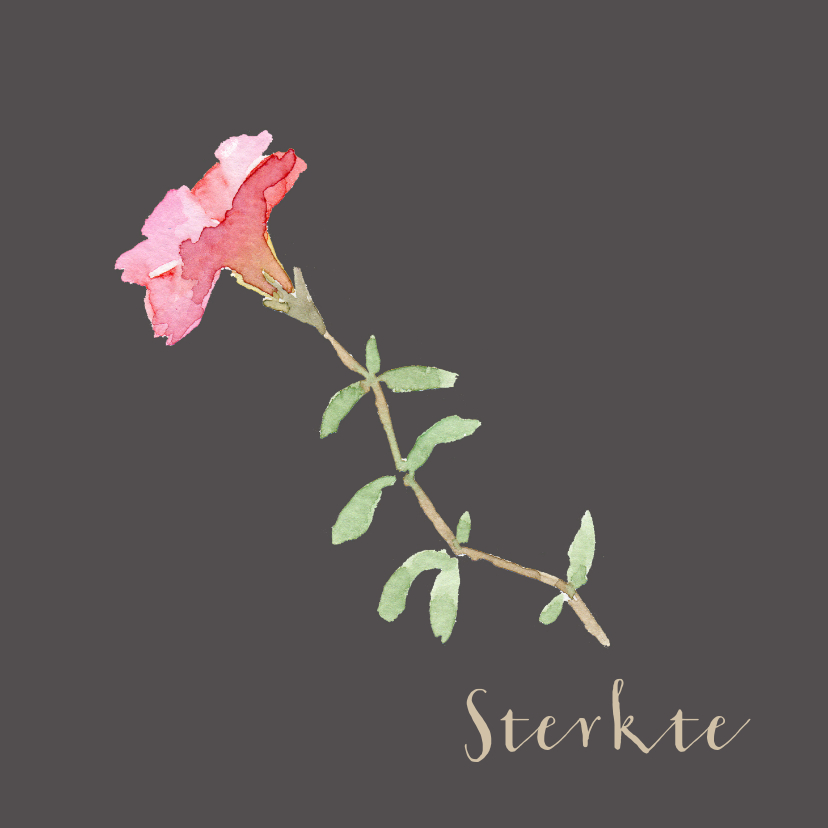 Condoleancekaart met een bloem tekening - Condoleancekaarten Condoleancekaarten - Condoleancekaart met een bloem tekening