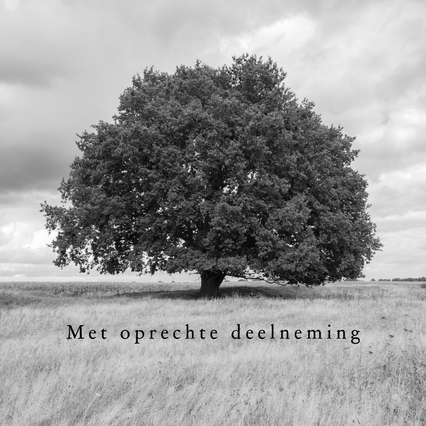 Condoleancekaart met eikenboom zwart-wit - Condoleancekaarten Condoleancekaarten - Condoleancekaart met eikenboom zwart-wit