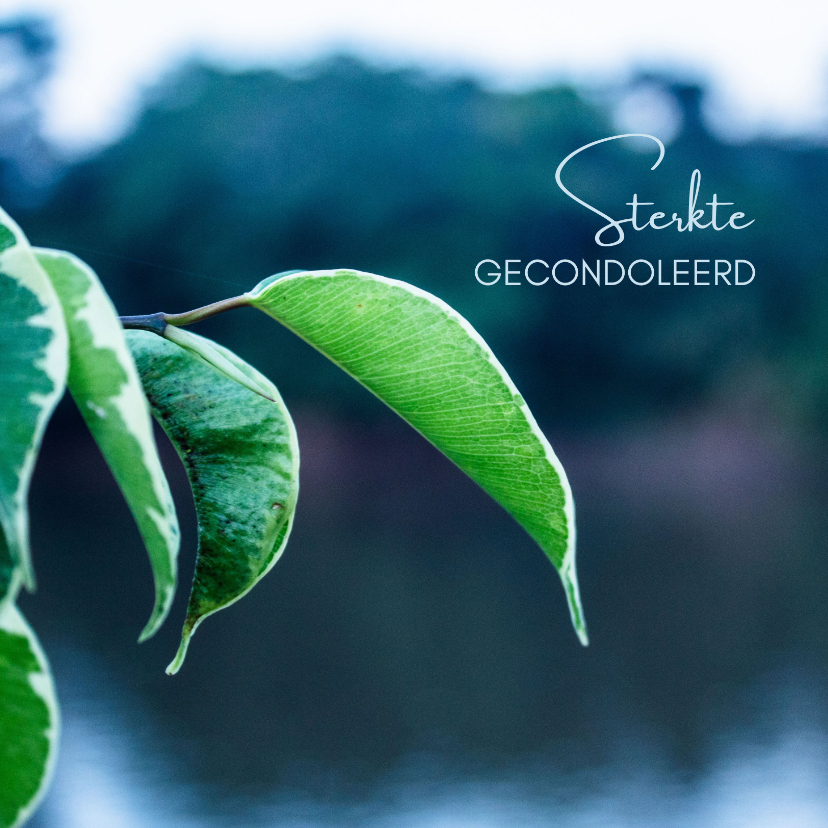 Condoleancekaart met groene bladeren en rustgevende natuur - Condoleancekaarten Condoleancekaarten - Condoleancekaart met groene bladeren en rustgevende natuur