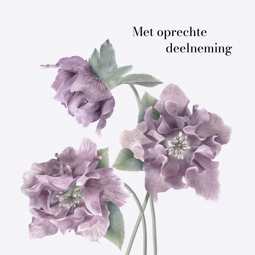 Condoleancekaart met kerstrozen - Condoleancekaarten Condoleancekaarten - Condoleancekaart met kerstrozen