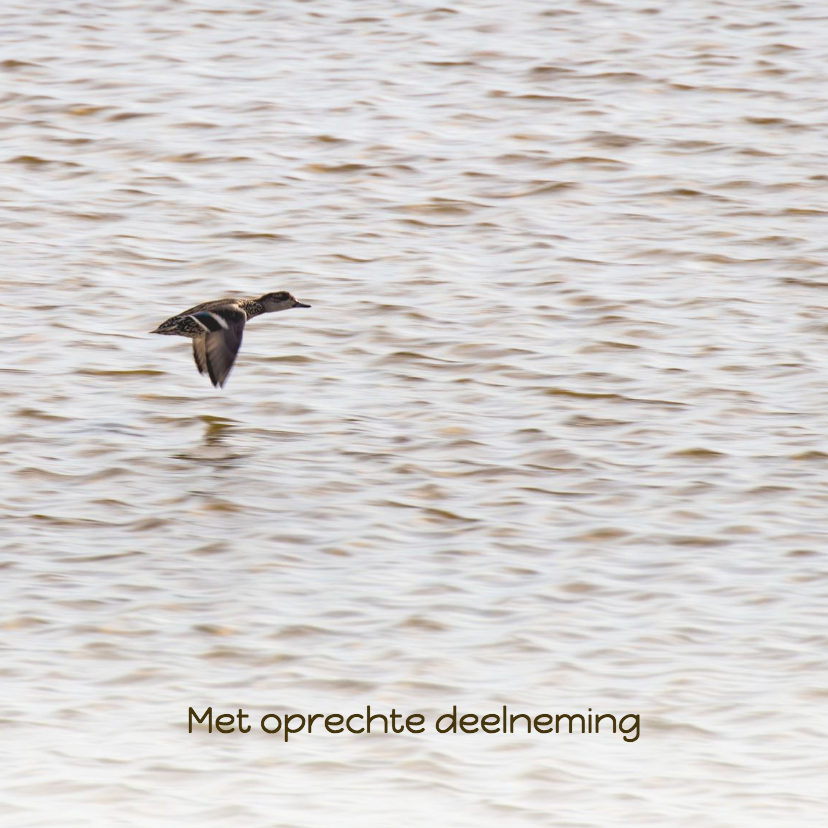 Condoleancekaart met vliegende eend op zee - Condoleancekaarten Condoleancekaarten - Condoleancekaart met vliegende eend op zee