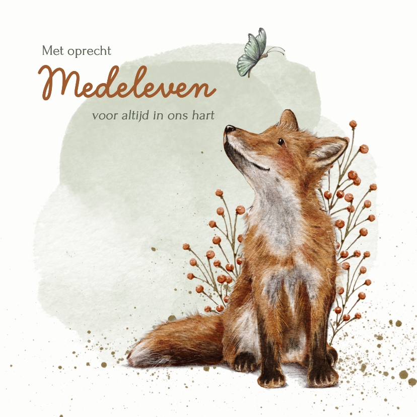 Condoleancekaarten - Condoleancekaart met vos en vlinder