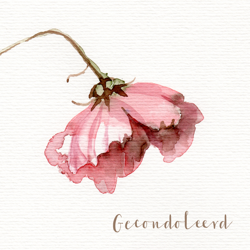 Condoleancekaarten - Condoleancekaart met waterverf Cosmea bloem schilderij