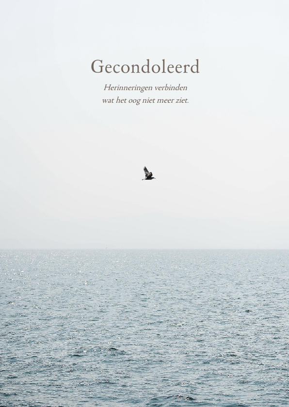 Condoleancekaarten - Condoleancekaart met zee en vogel