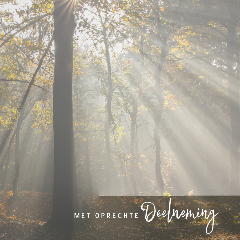 Condoleancekaart met zonneharp - Condoleancekaarten Condoleancekaarten - Condoleancekaart met zonneharp
