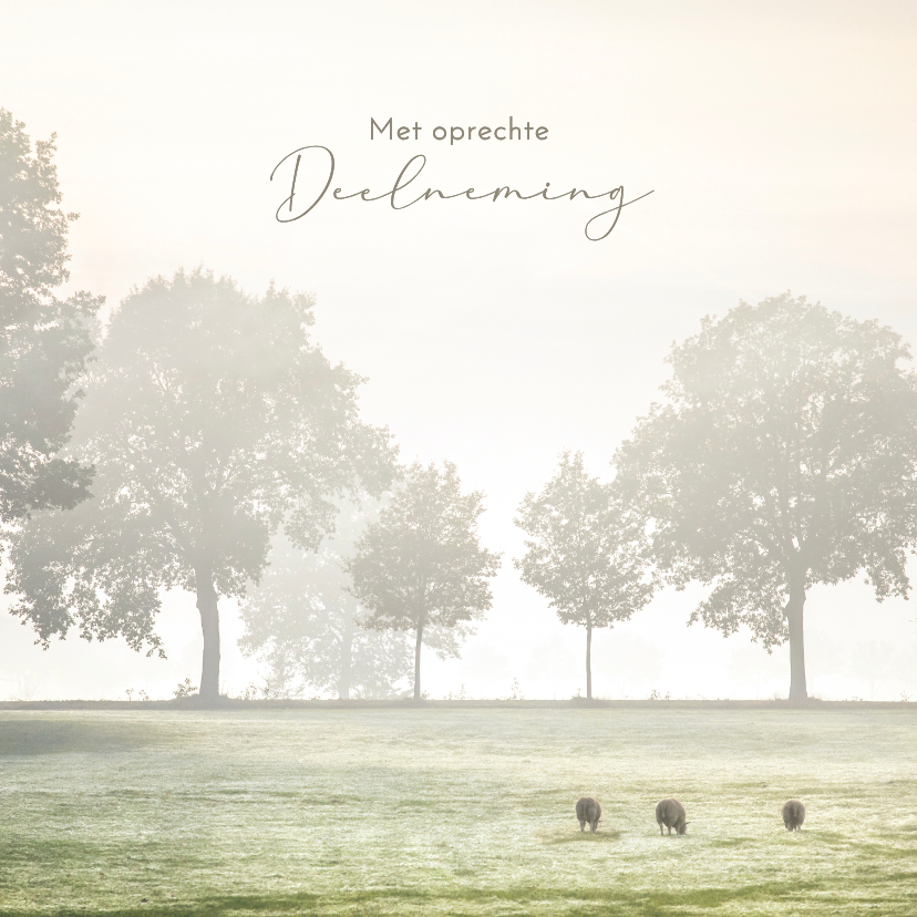 Condoleancekaart nevelig weidelandschap - Condoleancekaarten Condoleancekaarten - Condoleancekaart nevelig weidelandschap