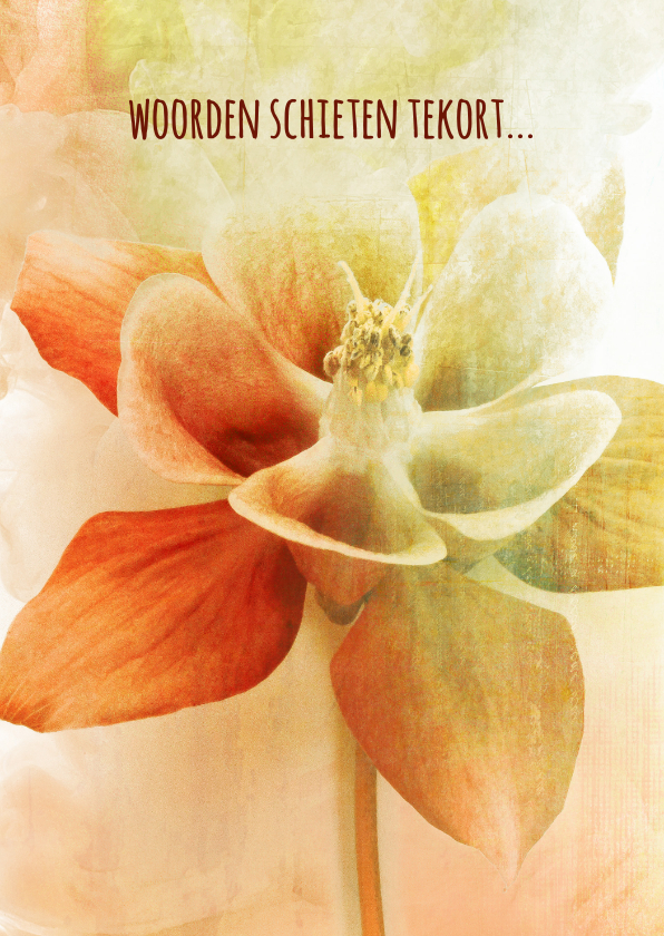 Condoleancekaarten - Condoleancekaart orchidee herfst pastel