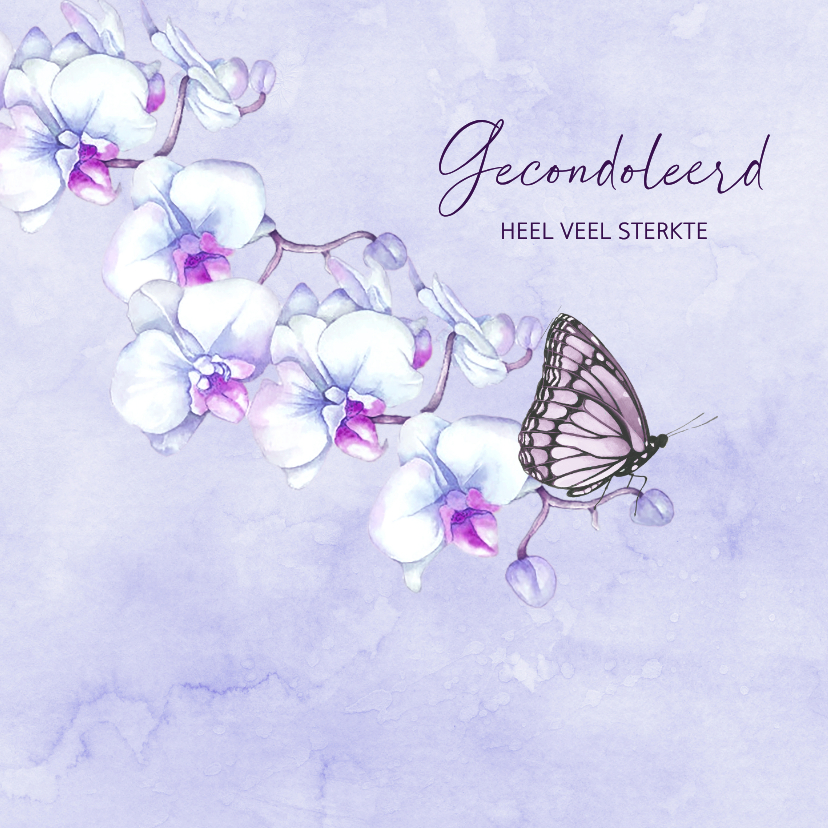Condoleancekaart orchidee vlinder - Condoleancekaarten Condoleancekaarten - Condoleancekaart orchidee vlinder