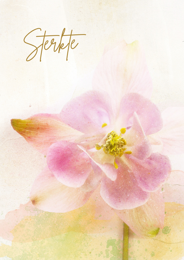 Condoleancekaarten - Condoleancekaart orchidee zacht pastel
