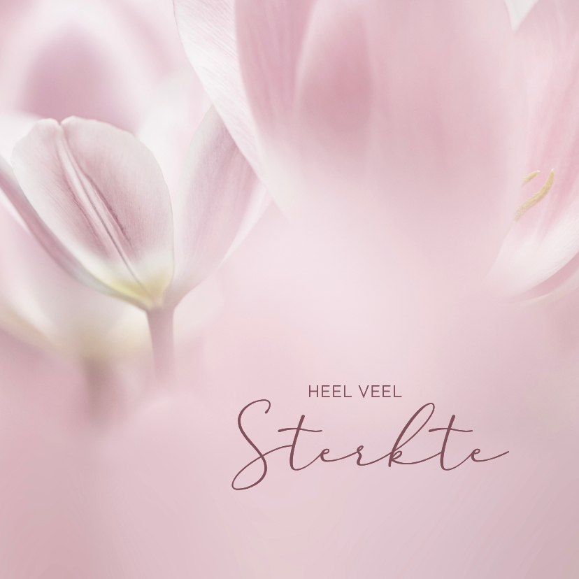 Condoleancekaarten - Condoleancekaart roze tulpen