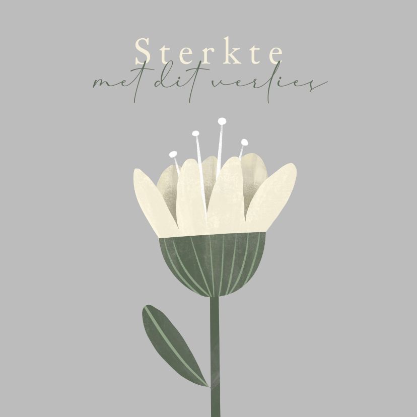 Condoleancekaarten - Condoleancekaart sobere witte bloem sterkte