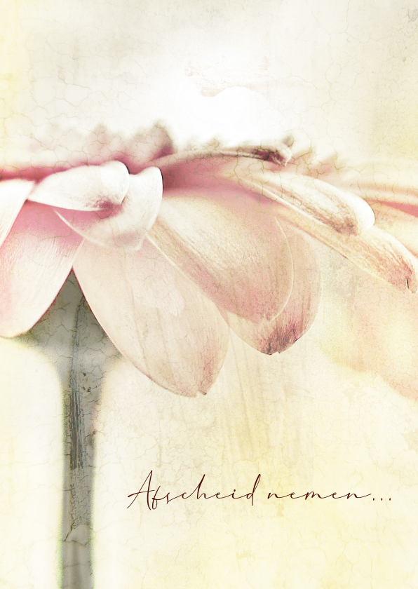 Condoleancekaarten - Condoleancekaart soft pastel flower