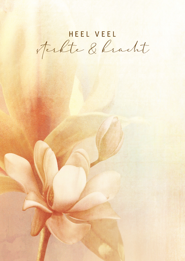 Condoleancekaarten - Condoleancekaart soft serenity bloem