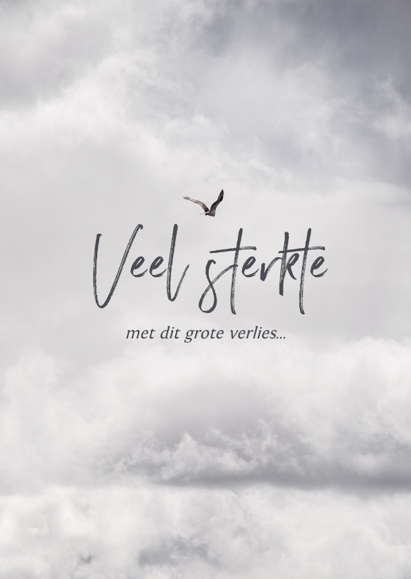 Condoleancekaart veel sterkte wolken vogel grijs - Condoleancekaarten Condoleancekaarten - Condoleancekaart veel sterkte wolken vogel grijs