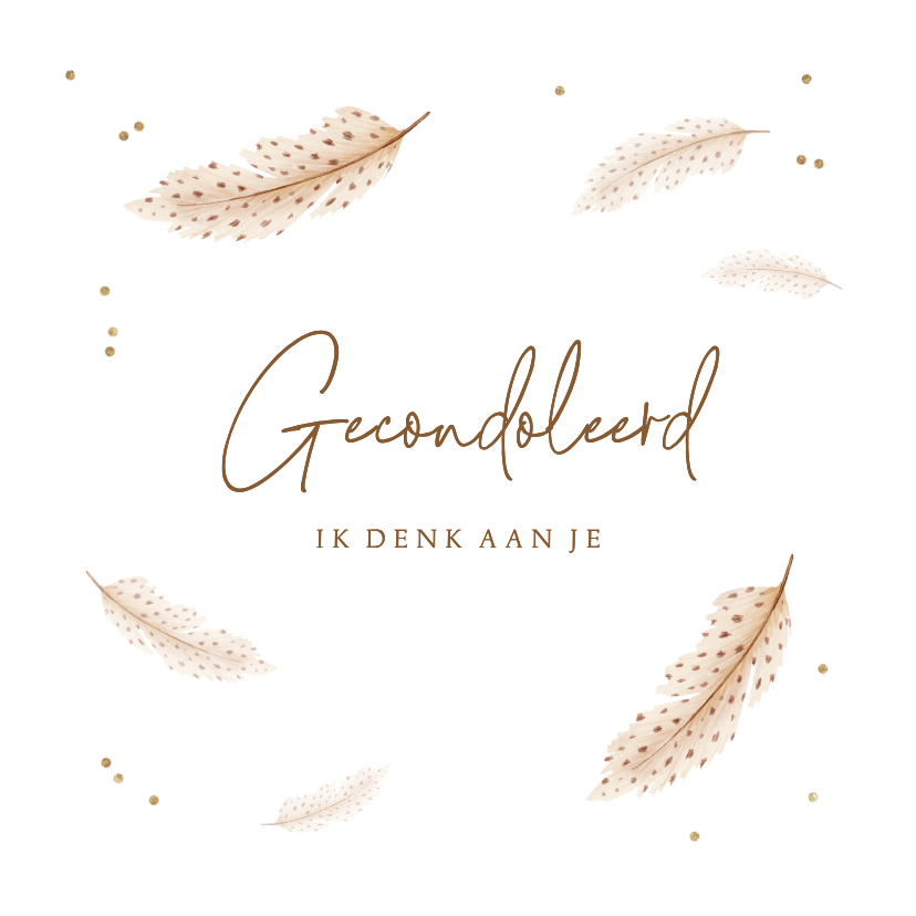 Condoleancekaarten - Condoleancekaart veertjes gecondoleerd sterkte